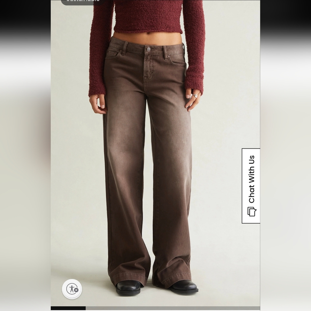 NWT Pacsun Casey Low Rise Baggy Jean